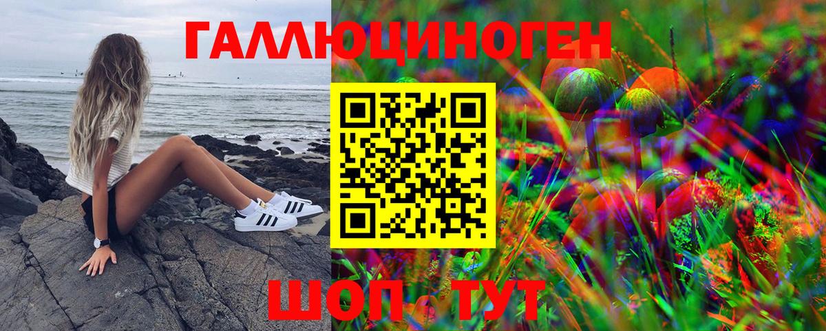 Псилоцибиновые грибы ЛСД Грозный
